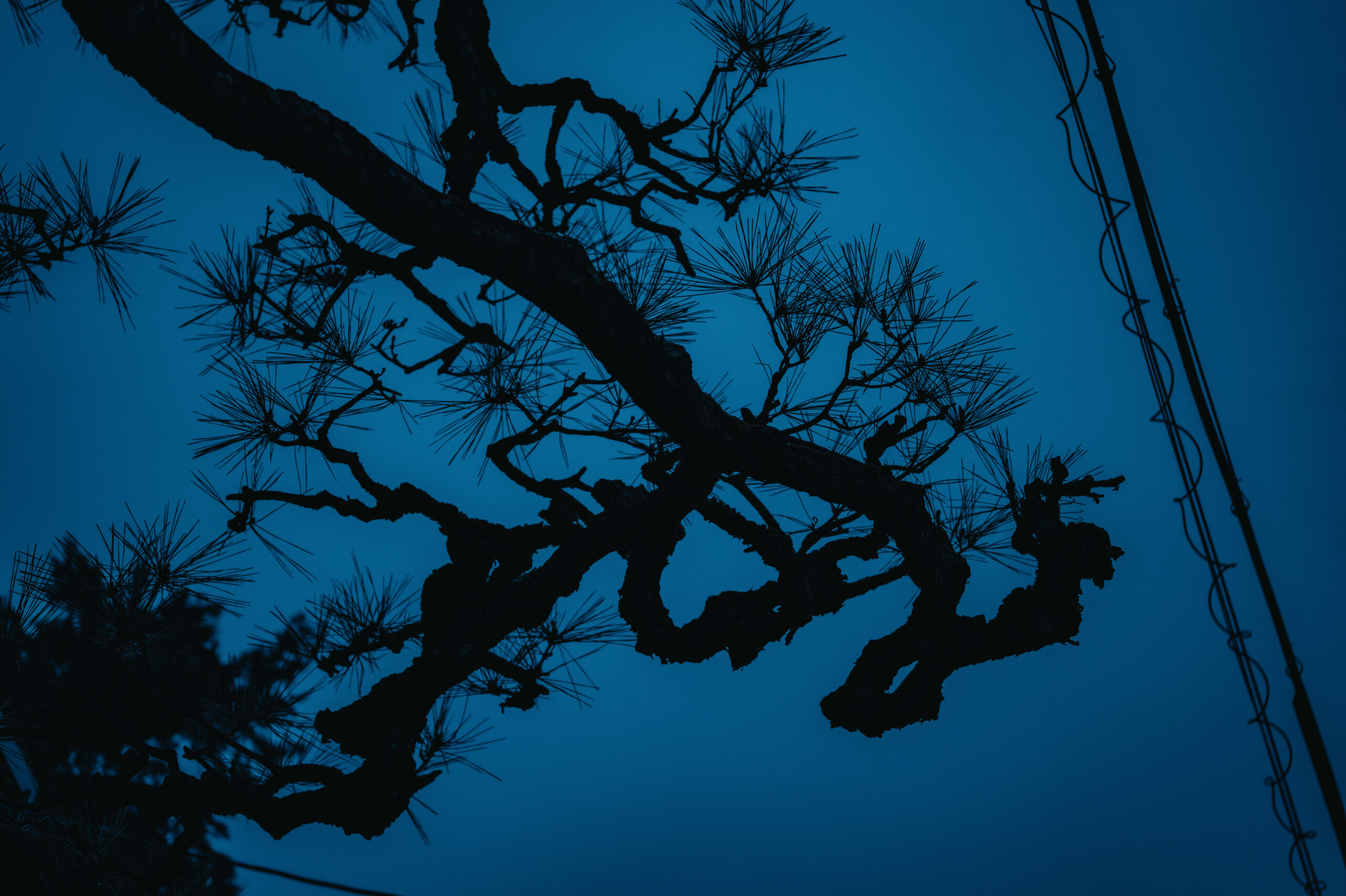 naoki-miyashita-sigma-17-40mm-f18-dc-art-iii