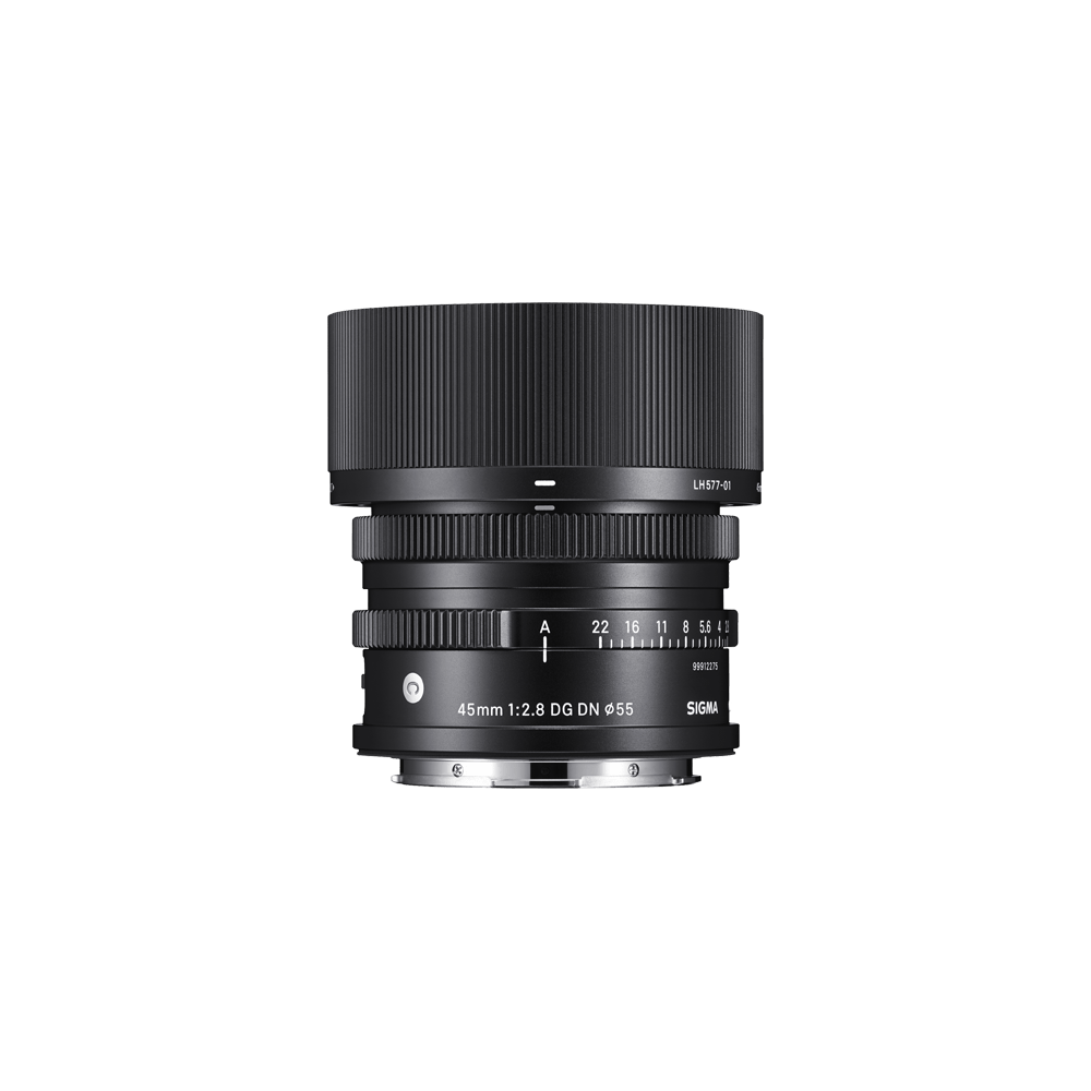 45mm F2.8 DG DN