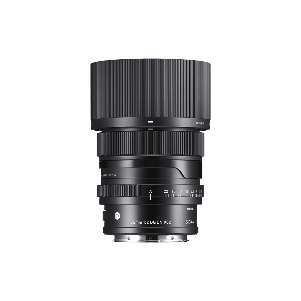 65mm F2 DG DN